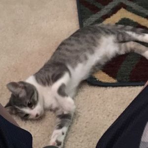 Meet your Posher, Alberto